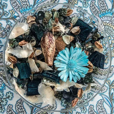 Hotel Acquamarina Portoferraio