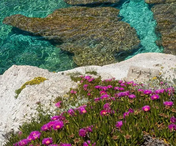 Ξενοδοχείο Acquamarina 3*