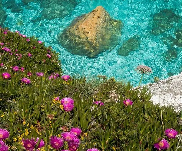 Acquamarina Ξενοδοχείο 3*