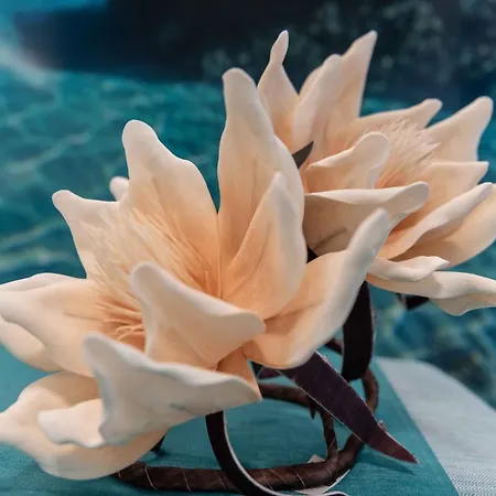 Acquamarina فندق