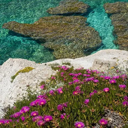 فندق Acquamarina 3*