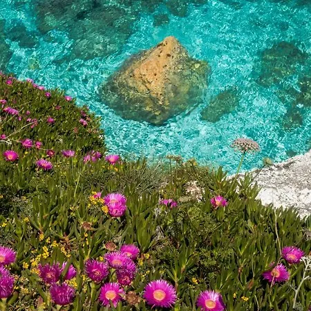 Acquamarina فندق 3*