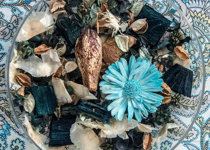 Hotel Acquamarina Portoferraio