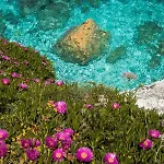 Acquamarina מלון 3*