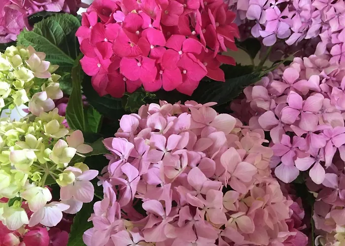 Acquamarina Hotel 3*